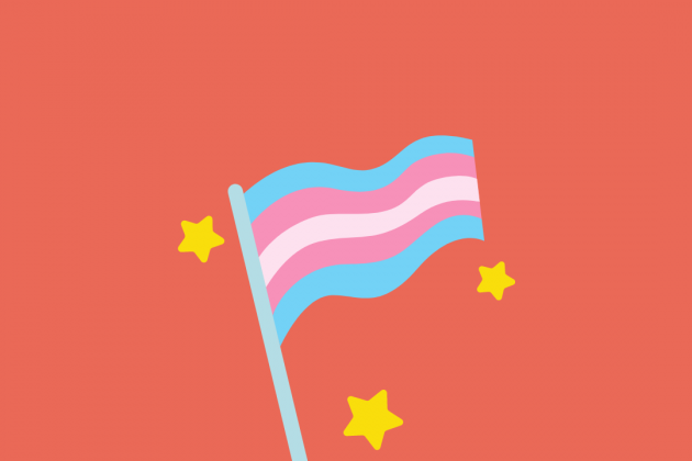 Trans Rights Flag
