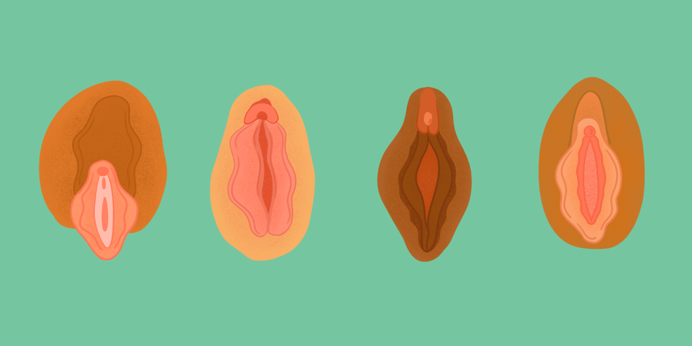 Different Types Of Vaginas: All You Need To Know About Types Of Vaginas