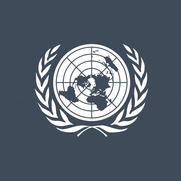 Banner with UN symbol